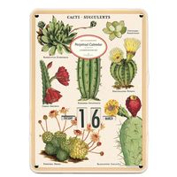 Cavallini Succulents Perpetual Calendar