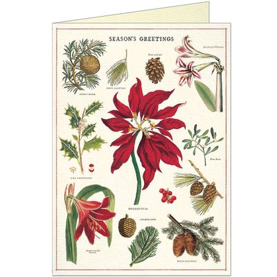 Season's Greetings Poinsettia Holiday Card Set