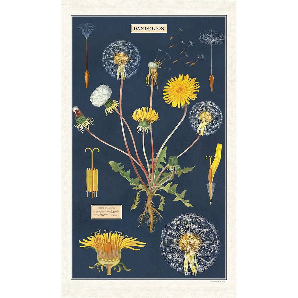 Dandelion Tea Towel