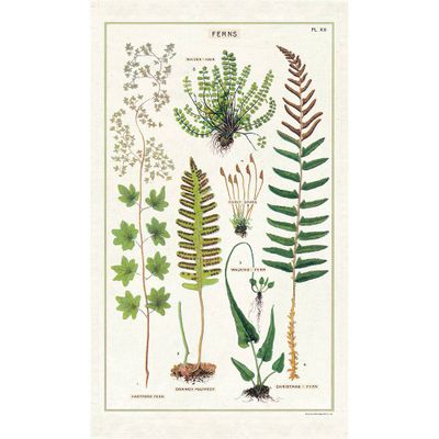 Ferns Tea Towel