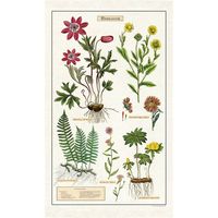 Herbarium Tea Towel