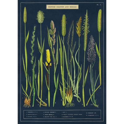 Grasses & Sedges Flat Wrap