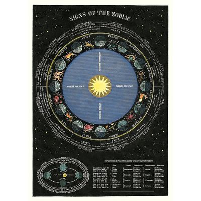 Zodiac Chart Flat Wrap