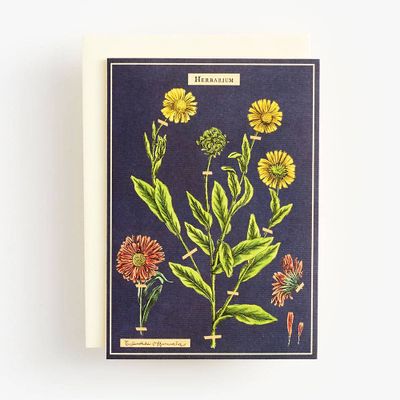 Herbarium Greeting Card