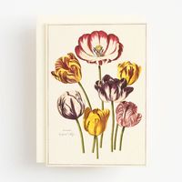 Tulips Greeting Card