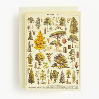 Arboretum Greeting Card