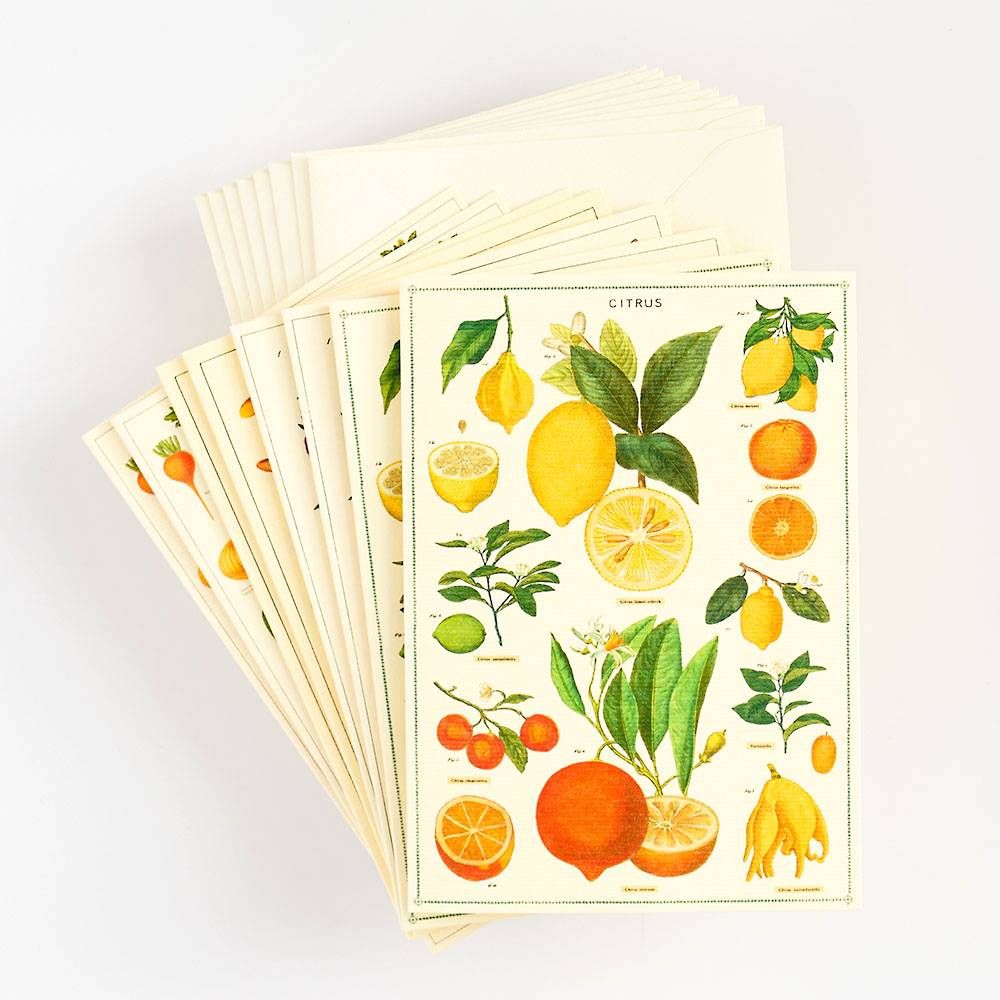 Jardin Stationery Set