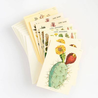 Cacti and Succulents Stationery Set