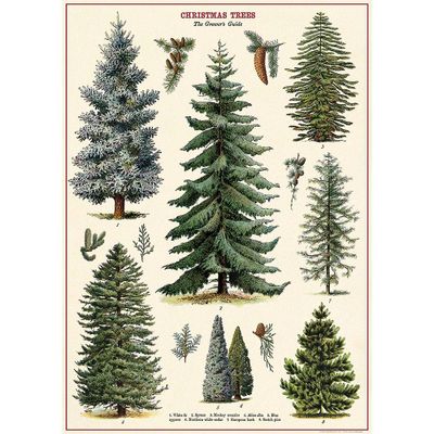 Christmas Tree Growers Guide Flat Wrap