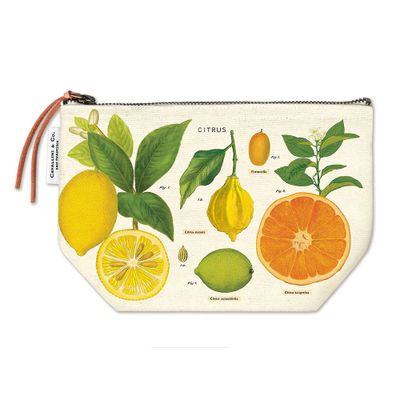 Citrus Vintage Pouch