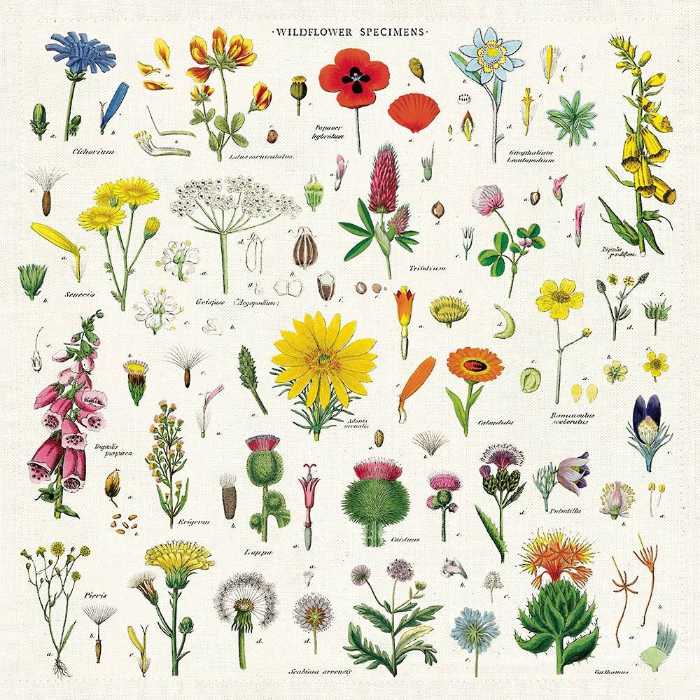 Wildflower Cloth Napkins