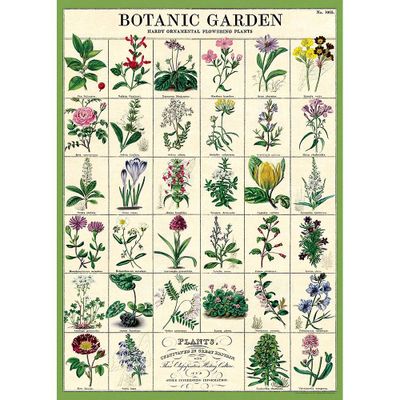 Botanic Garden Wrap & Poster