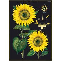 Sunflower Wrap & Poster