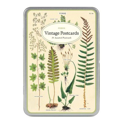 Ferns Vintage Postcard Set