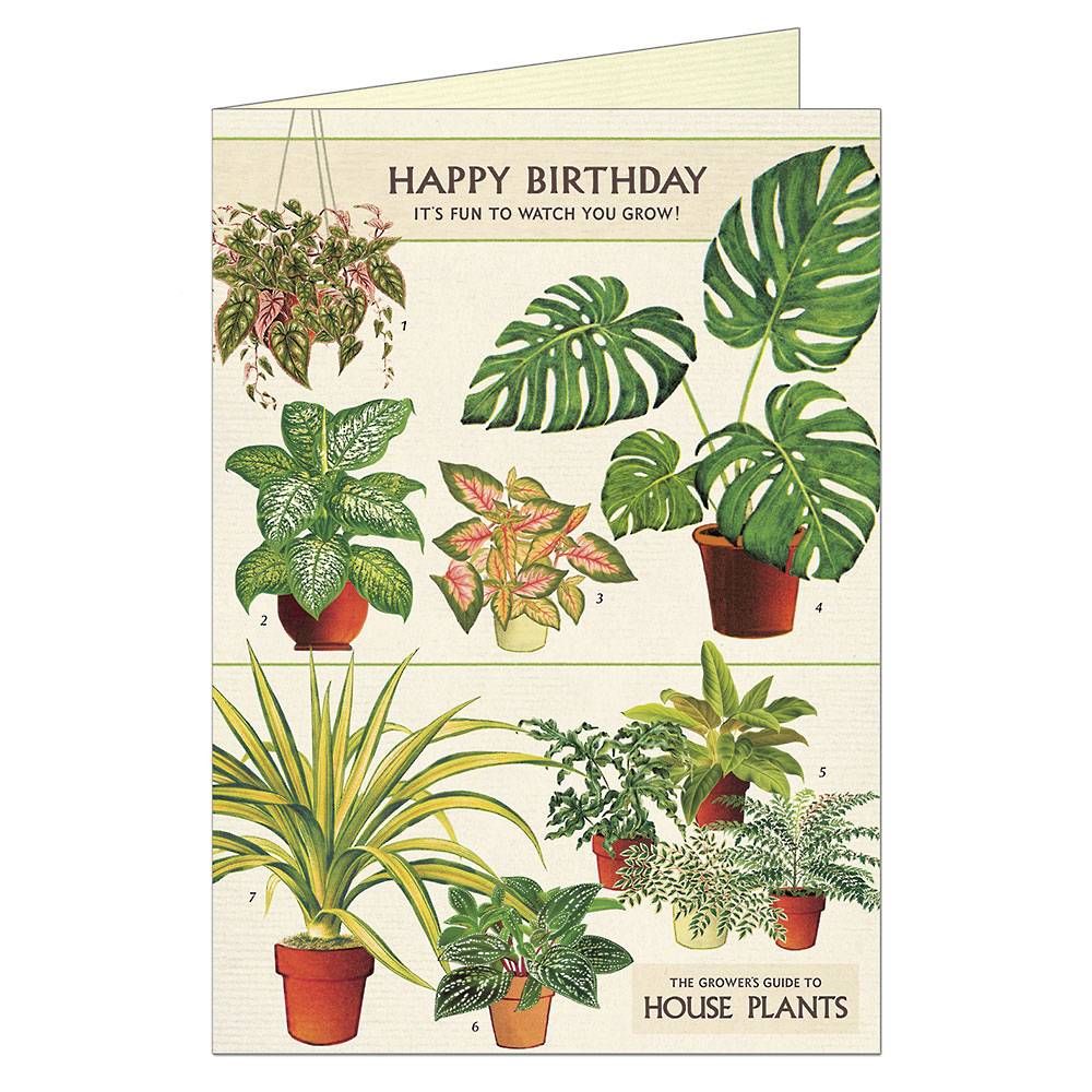 Houseplants Birthday Card