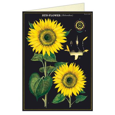 Sunflowers Greeting Card