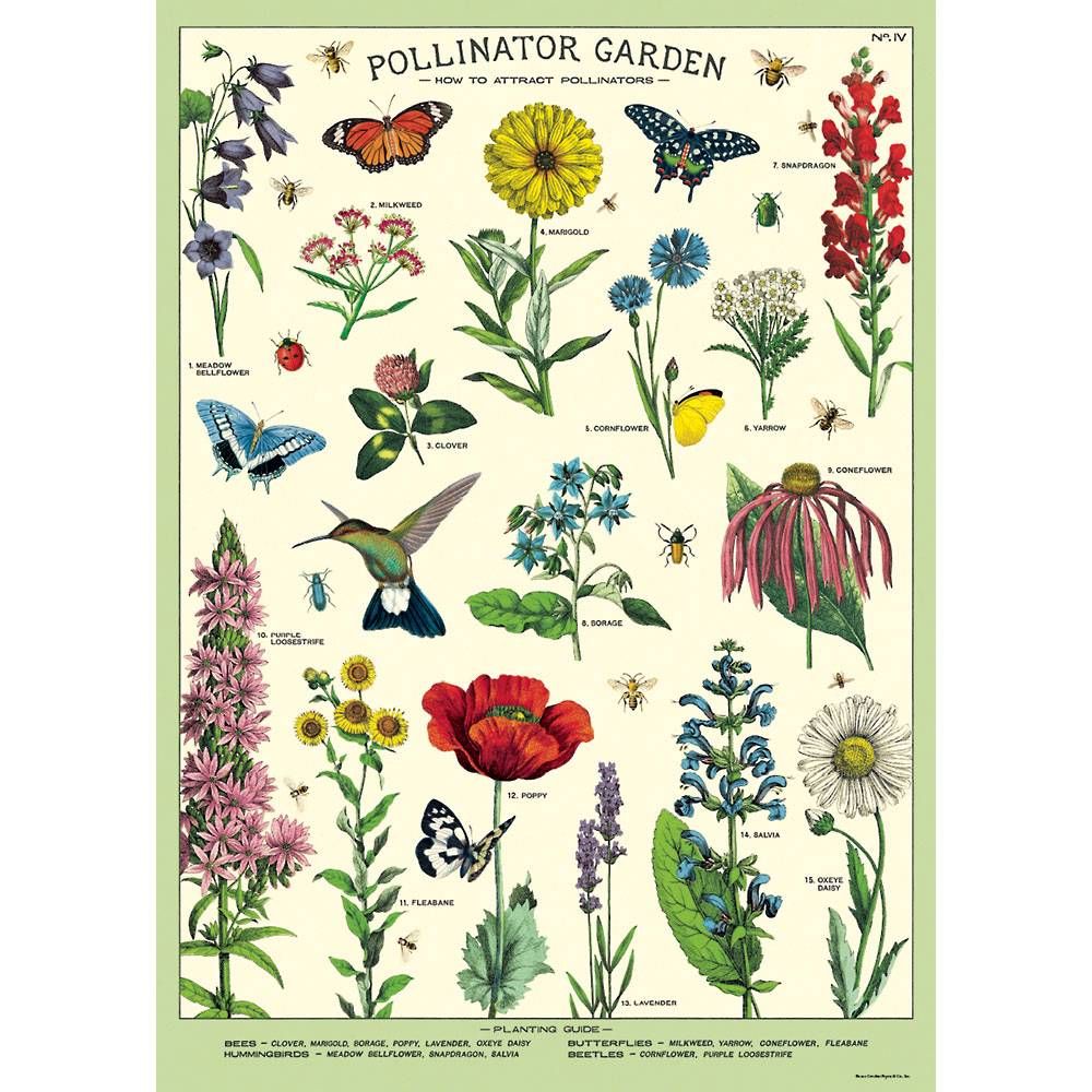 Pollinator Garden Wrap & Poster