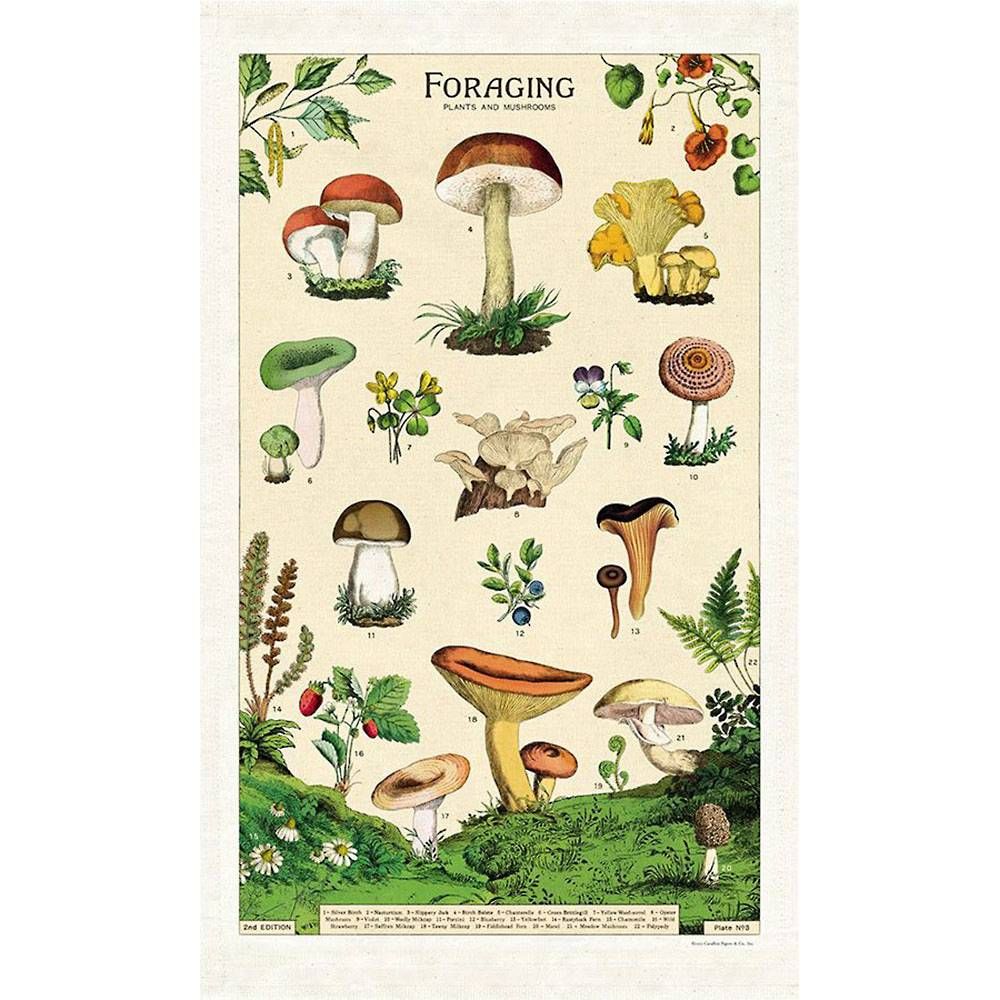 Cavallini & Co. Foraging Tea Towel