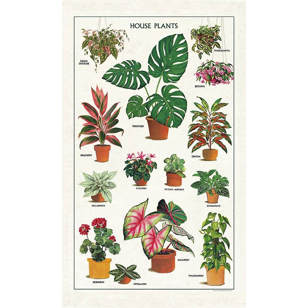 Cavallini & Co. House Plants Tea Towel