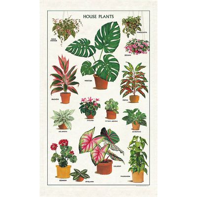 Cavallini & Co. House Plants Tea Towel