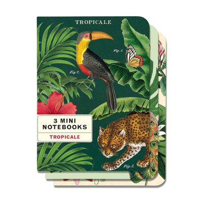 Cavallini & Co. Tropicale Mini Notebooks