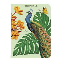 Cavallini & Co. Tropicale Mini Notebooks