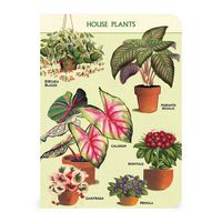 Cavallini & Co. House Plants Mini Notebooks