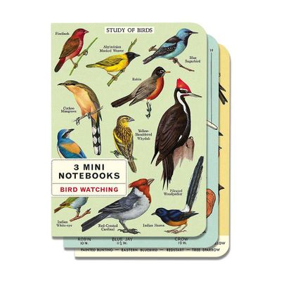 Cavallini & Co. Bird Watching Mini Notebooks