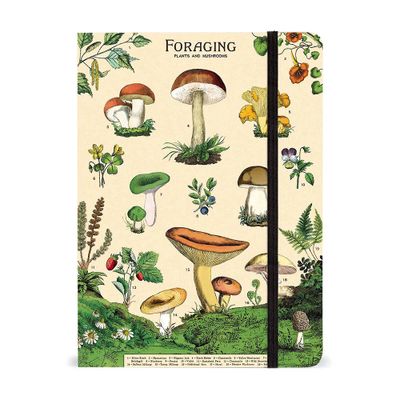 Cavallini & Co. Foraging Large Notebook