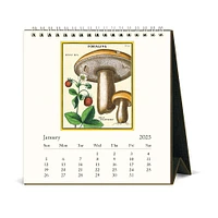 2025 Foraging Desk Calendar