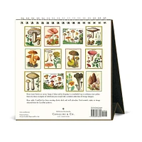 2025 Foraging Desk Calendar