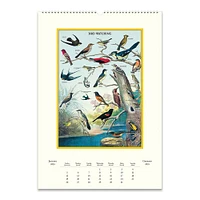 2025 Birdwatching Wall Calendar