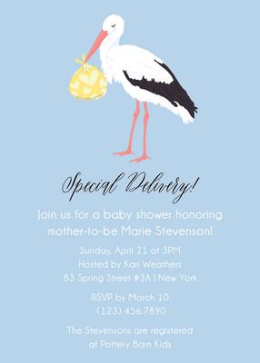 Stork Baby Shower Invitation