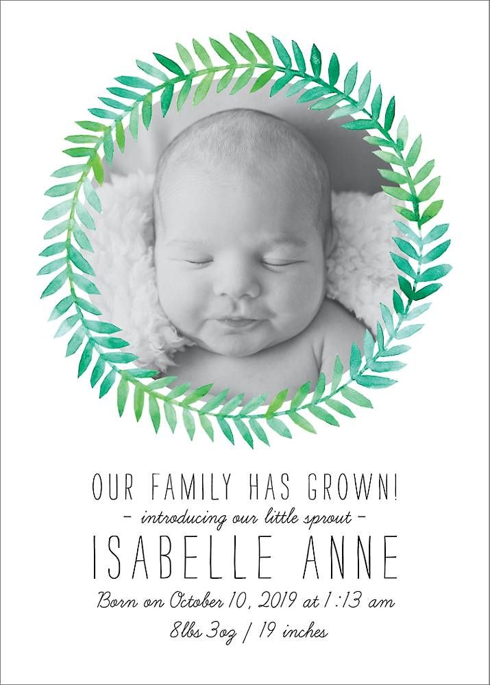 Greenery Frame Birth Announcement