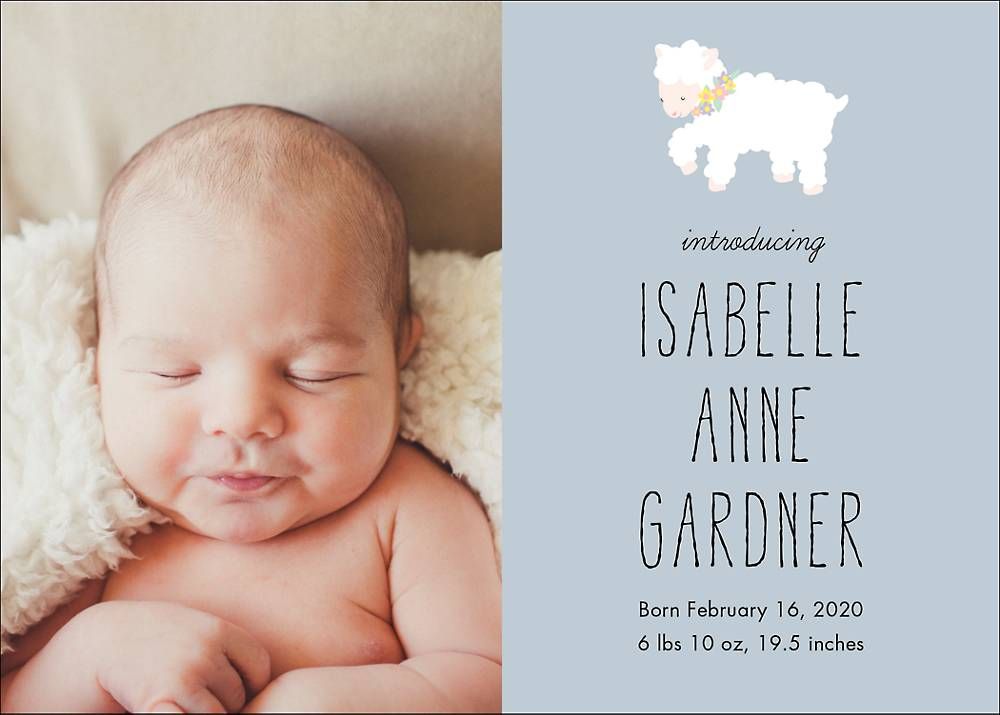 Little Lamb Birth Announcement