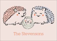 Hedgehogs Baby Thank You Notes