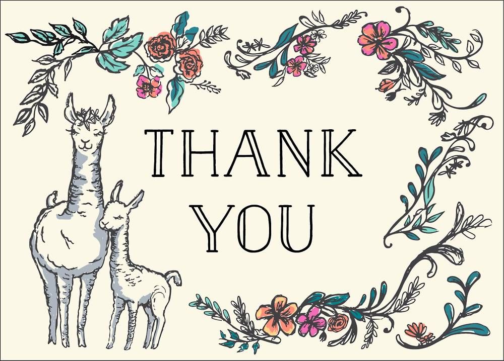 Llama Mama Baby Thank You Notes