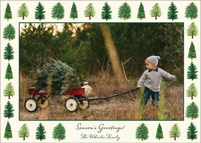 Tree Farm Horizontal Photo Card