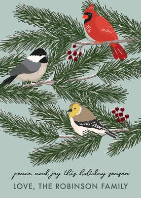 Winter Birds Holiday Card