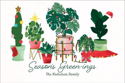 Seasons Greenings Postcard