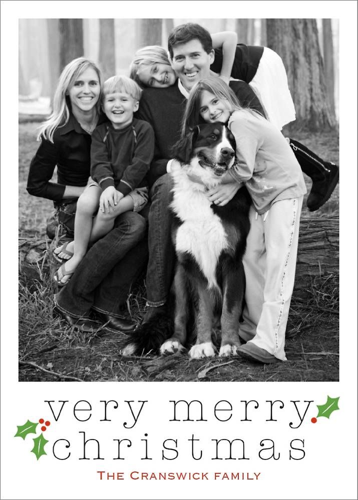 Very Merry Holly Holiday Photo Card