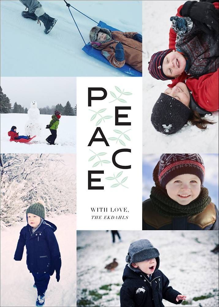 Leaves of Peace Photo Card