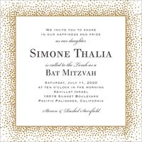 Champagne Border Bat Mitzvah Invitation