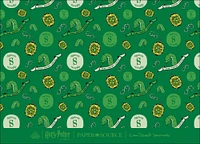 Slytherin Mascot Illustrated Academia Harry Potter Stationery