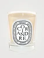 Coriander Candle