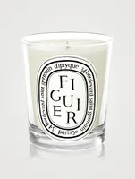 Figuier (Fig) Scented Candle
