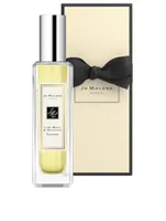 Lime Basil & Mandarin Cologne