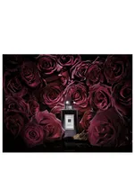 Velvet Rose & Oud Cologne Intense