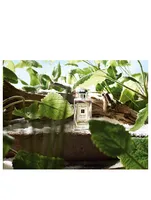 Wood Sage & Sea Salt Cologne