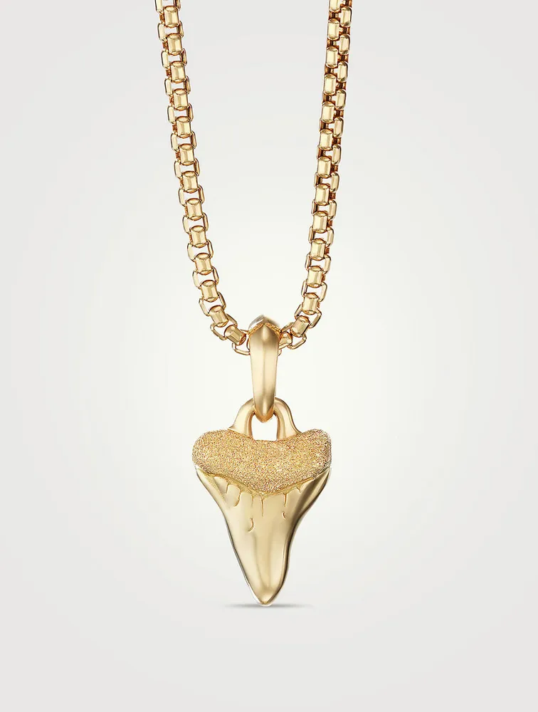 Shark Tooth Amulet In 18k Yellow Gold